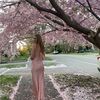 evie_field
